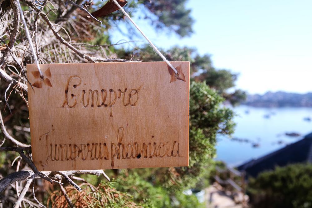 Touring Club Italiano - La Maddalena Hotel ลามัดดาเลนา ภายนอก รูปภาพ